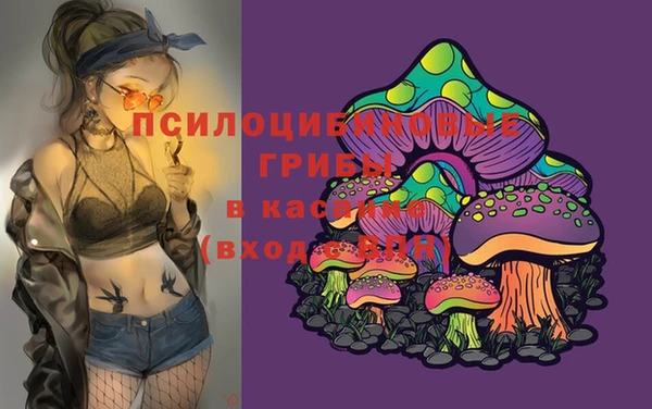 бошки Сясьстрой