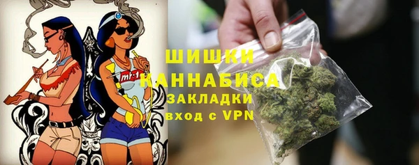 гашик Богородск