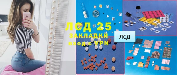 эйфоретик Тайга