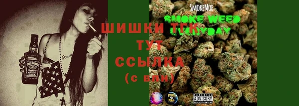 хмурый Бронницы