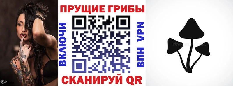 Галлюциногенные грибы GOLDEN TEACHER где купить наркоту кракен tor Пересвет
